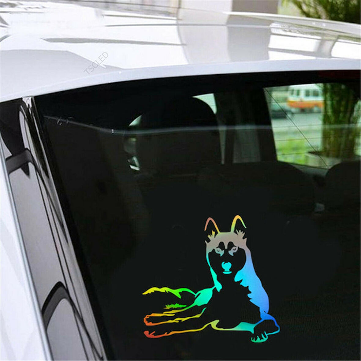 Husky Köpek Araba Sticker Yapıştırması 1
