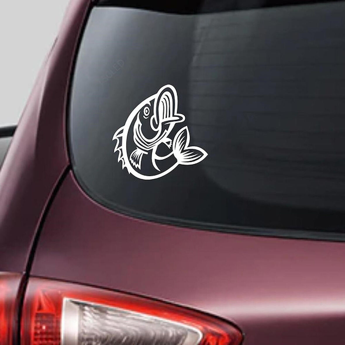 Balık Araba Sticker Yapıştırma