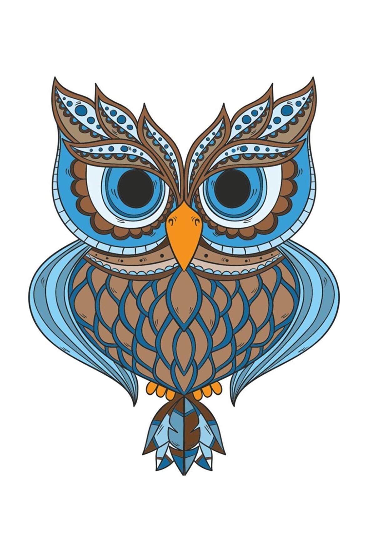 Baykuş Sticker OTO sticker 15 CM