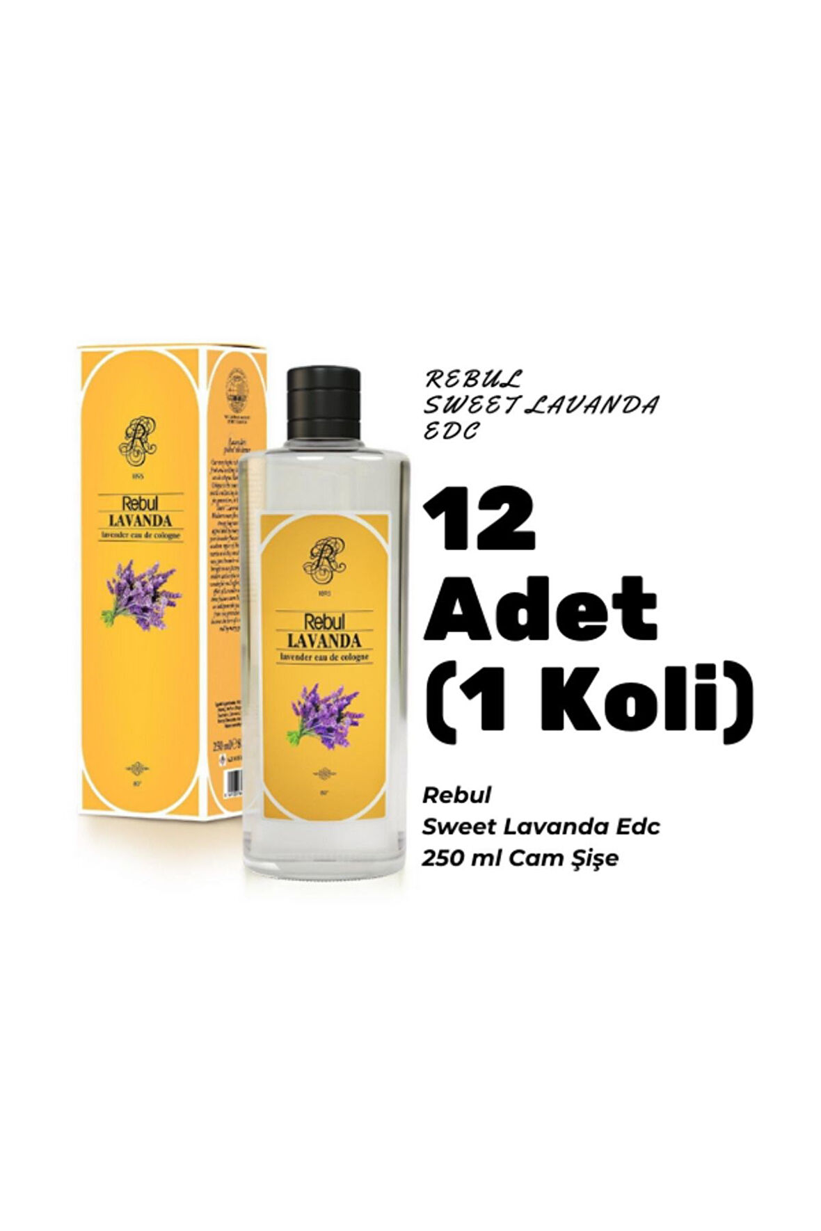 Rebul Lavanda Edc 250ml Cam Şişeli Lavanta Kokulu Kolonya 12 Adet (1 koli)