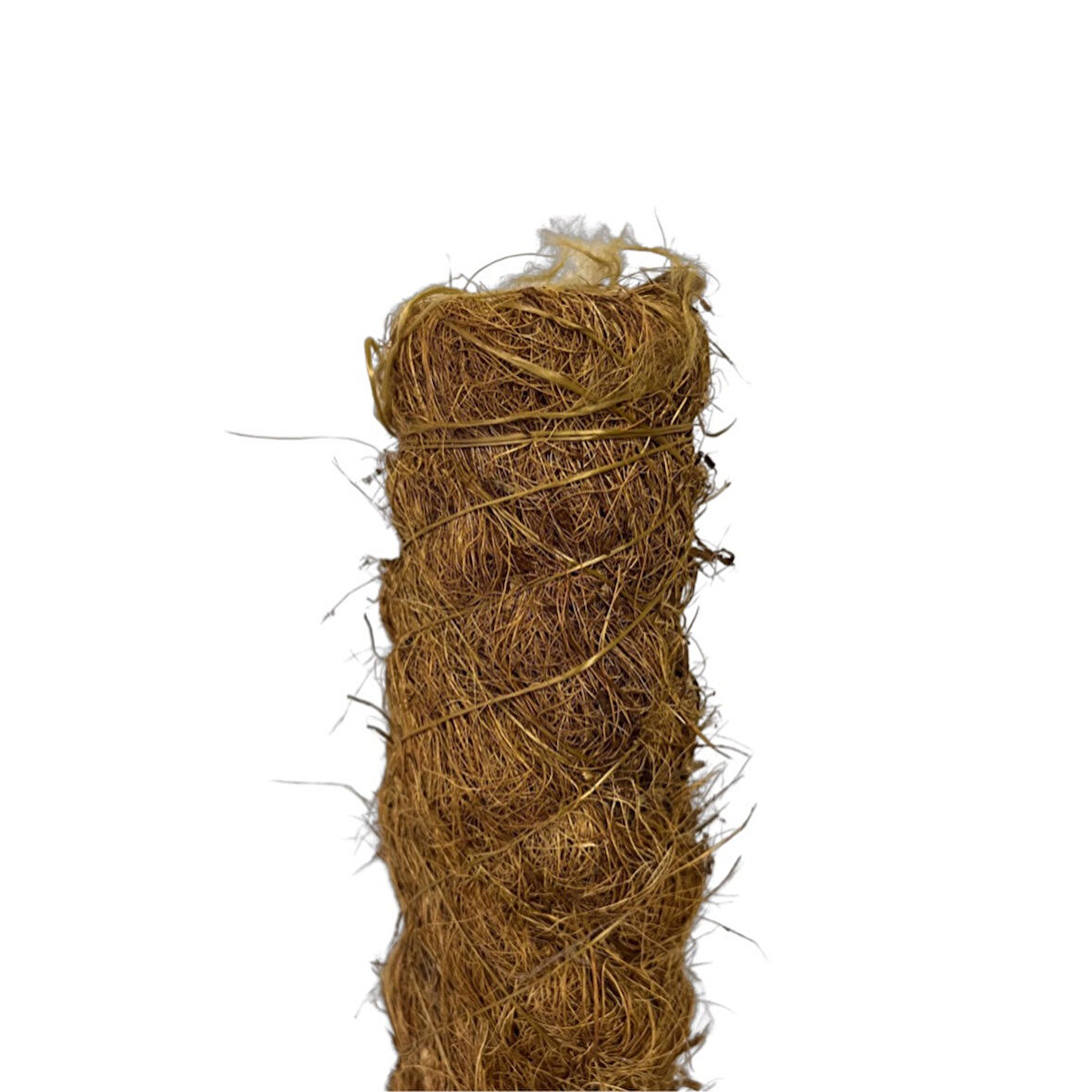 Yosun Bitki Destek Çubuğu (40 cm)