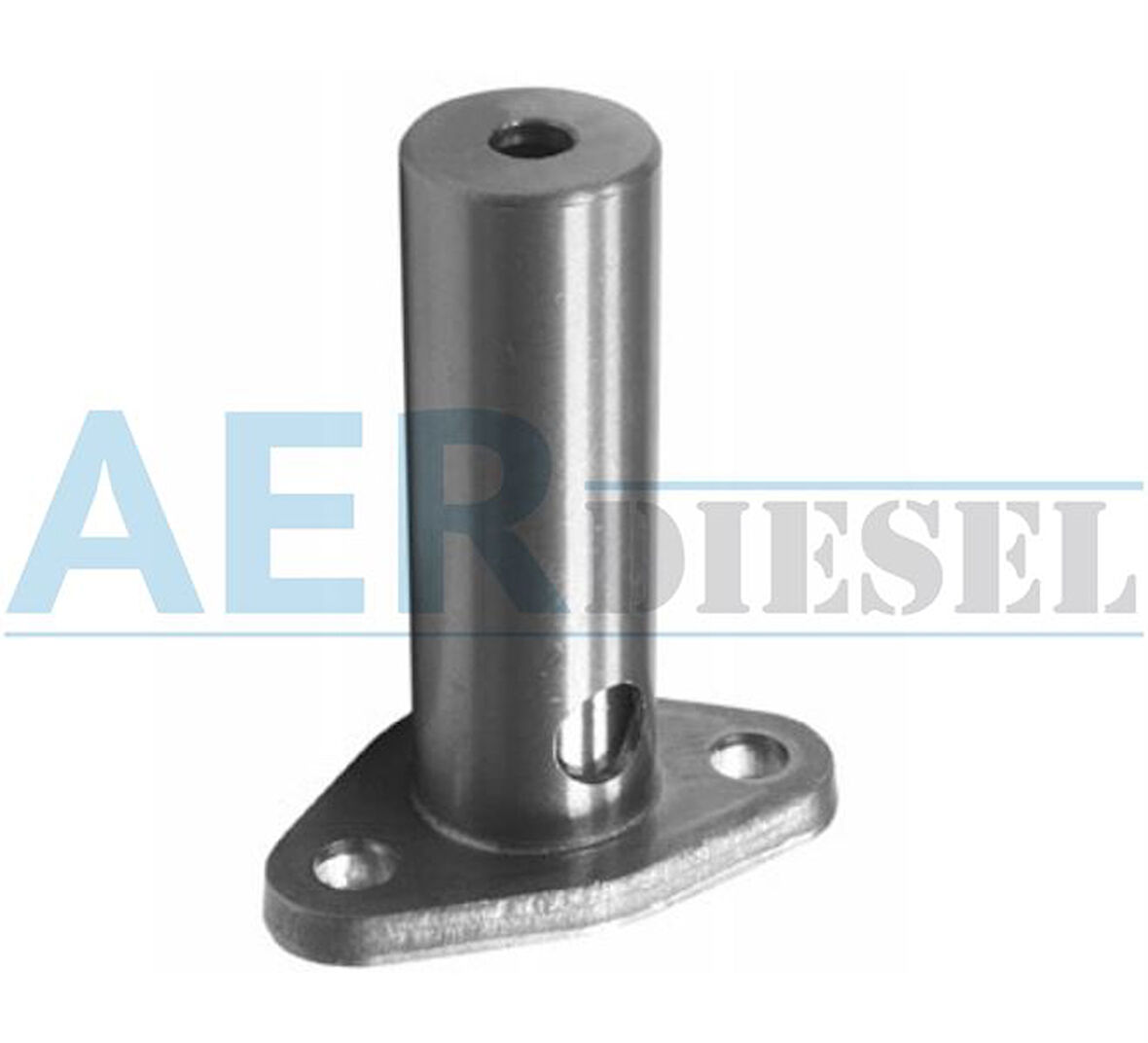 Man Truck Motor Yag Tazyık Subapı Man Fortuna D2866 D2876 Tga 18.410 D2866 00> Tga 18.460 D2876 00> Tga 18.480 - Aerdiesel Rv042