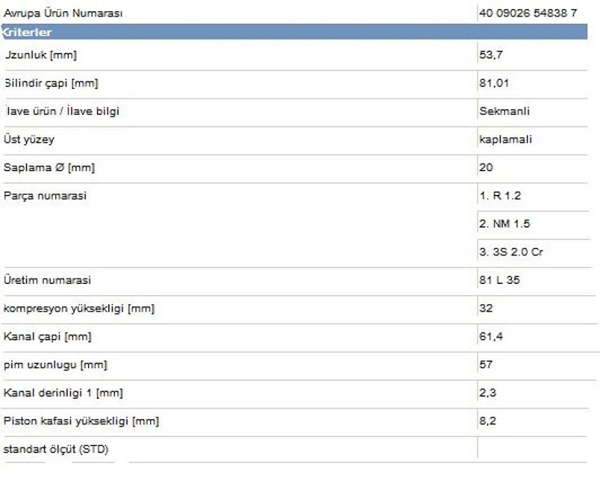 Vag Piston+segman (81,01mm Std) A3 A4 Cordoba İbiza Toledo Octavıa Golf III IV Beetle Passat Vento Akl A - Yenmak 31-04307-000