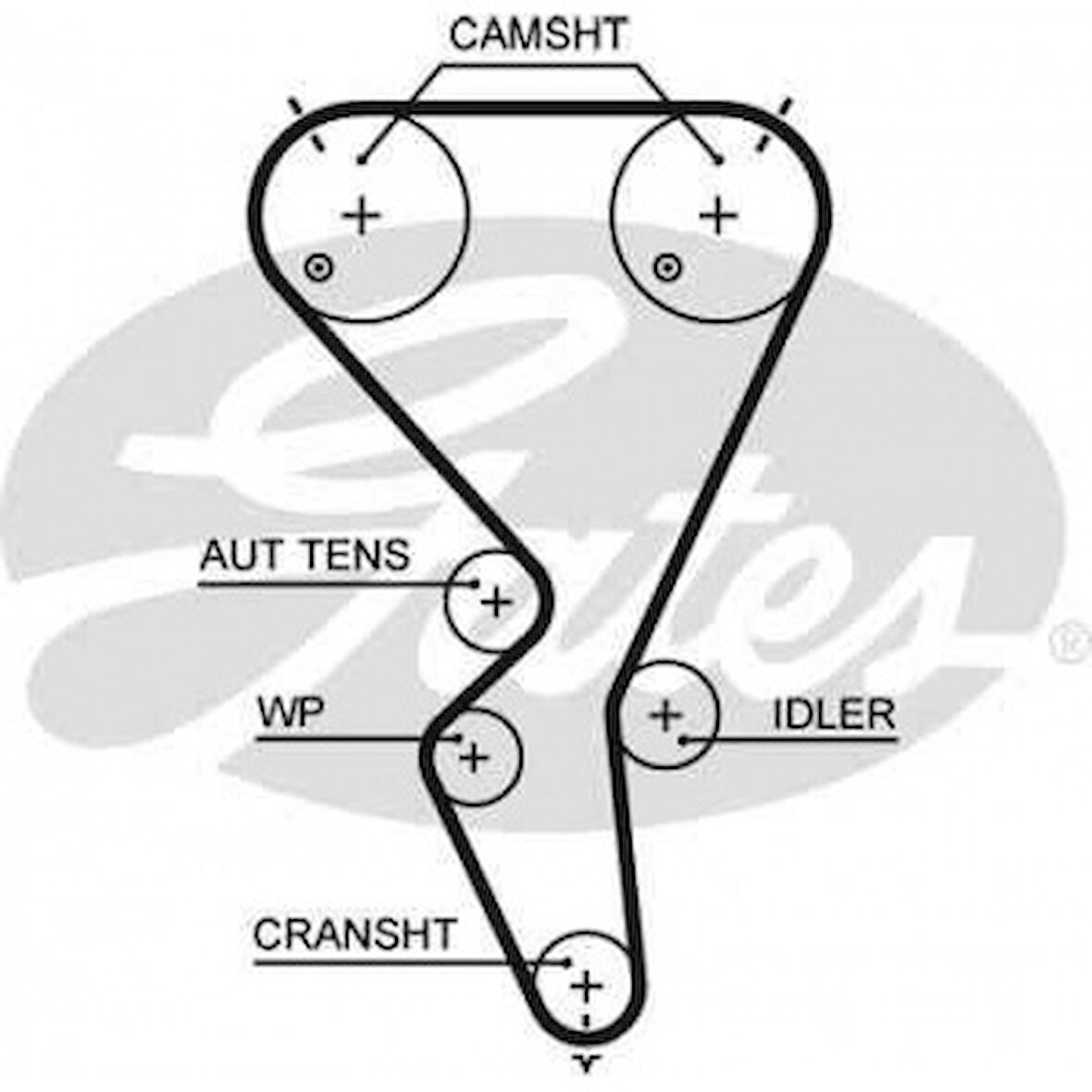 Psa Eksantrık Kayısı (135x254) 135 Dis P206 P307 03=> C3 Ct1101 - Gates 5615xs