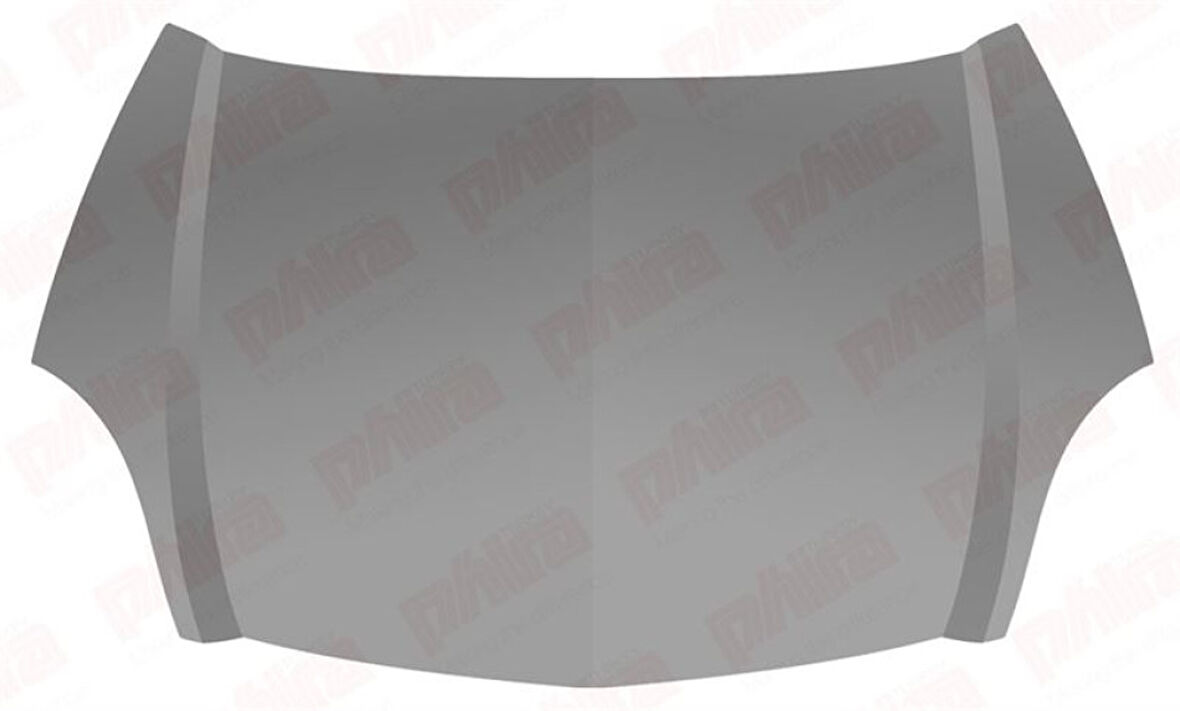 Renault On Kaput Sac Kangoo 03>08 - Oran 291030