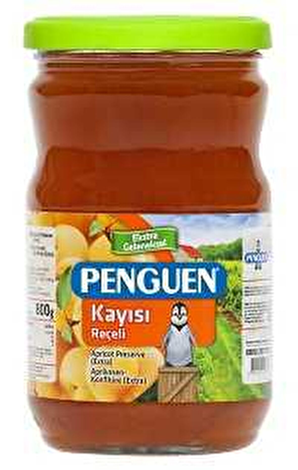 PENGUEN REÇEL 800GR KAYISI 