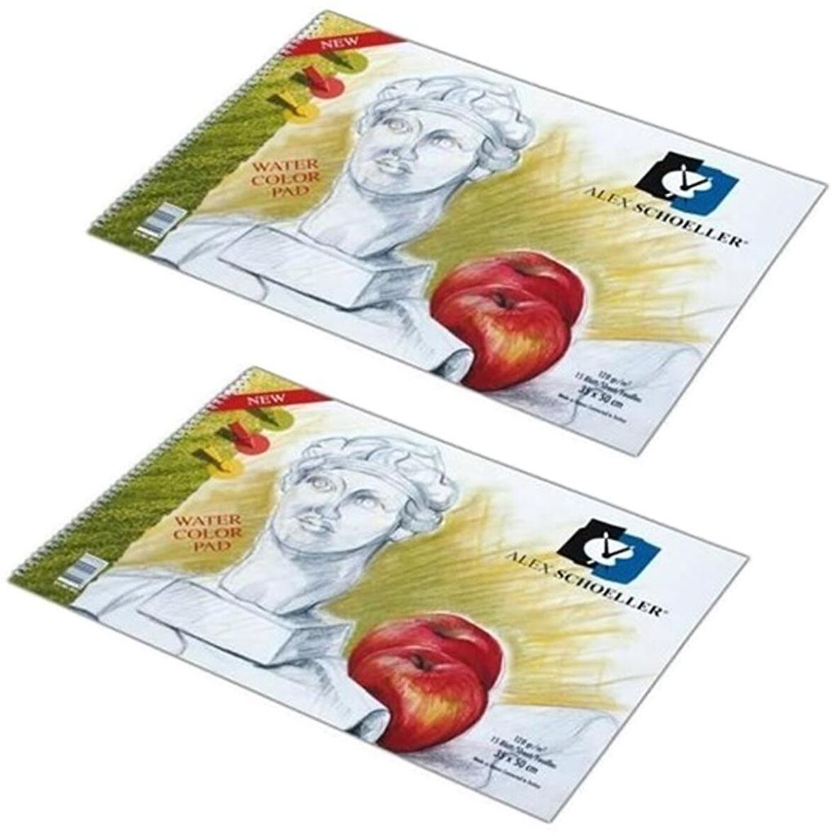 Alex Resim Defteri 50X70 Spr. 120 Gr 20 Yp 2'Lİ