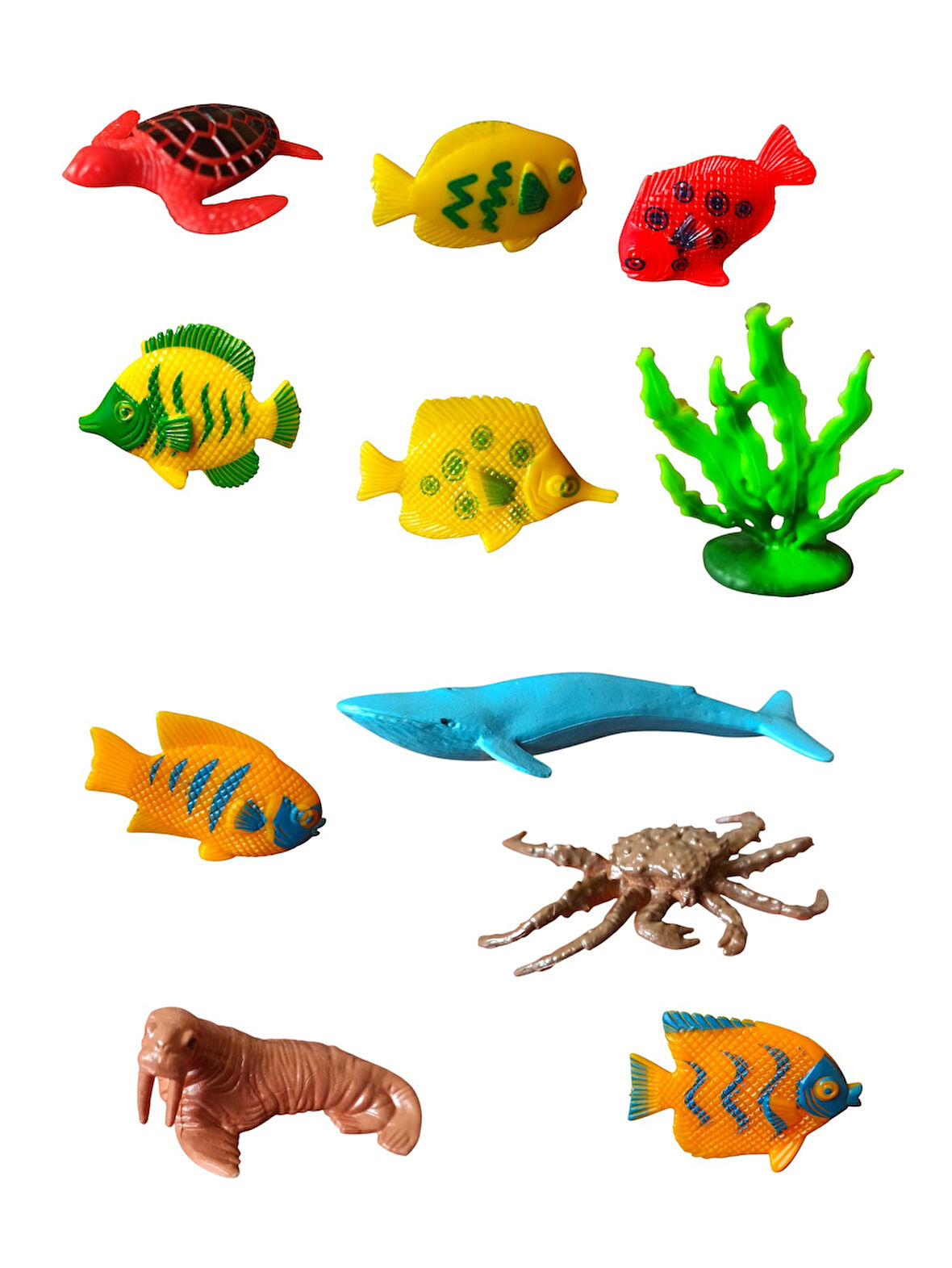 10'lu Mini Boy Deniz Canlıları Seti: Okyanus Macerası Başlıyor!