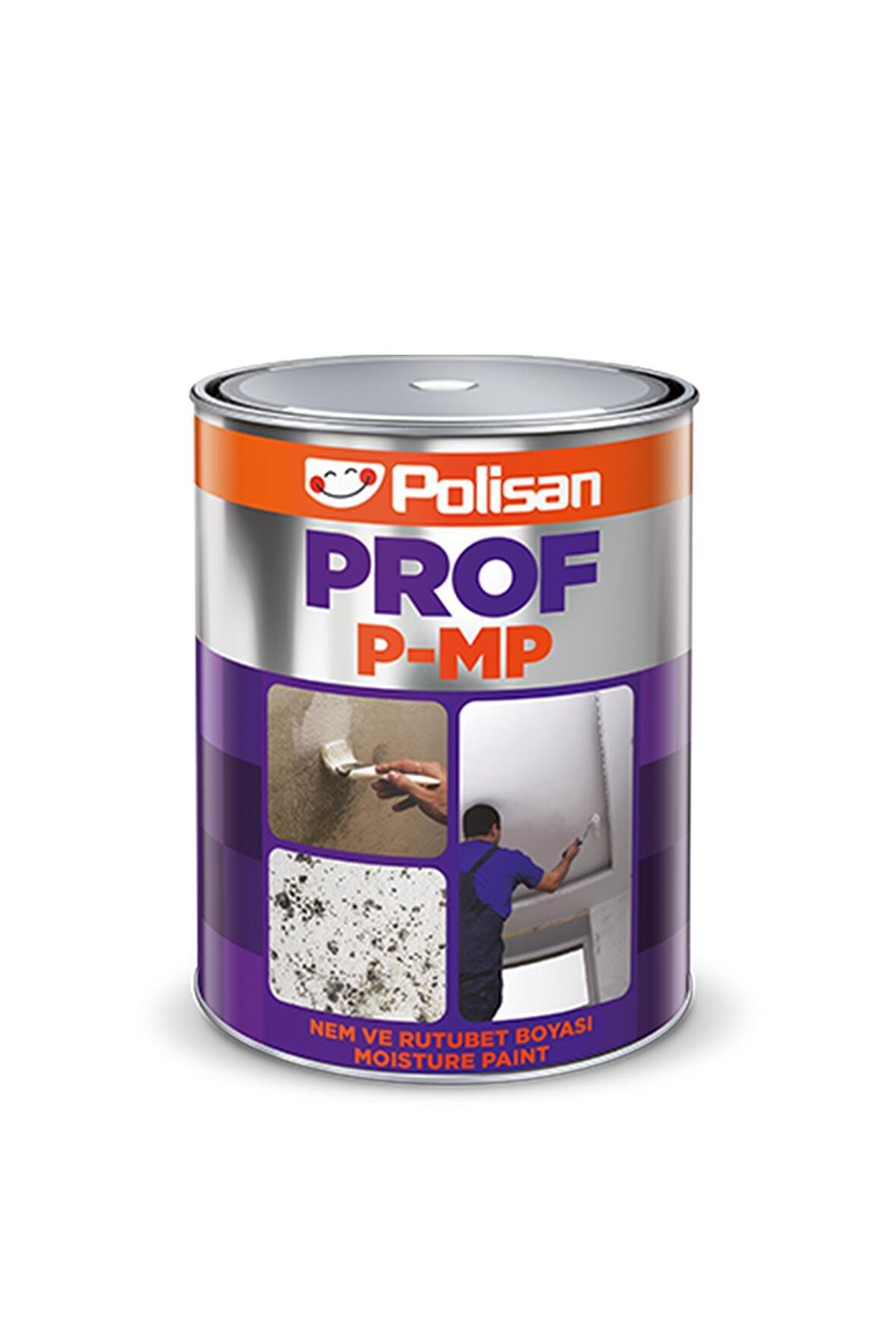 Polisan Prof P-MP Nem ve Rutubet Boyası 5 kg.
