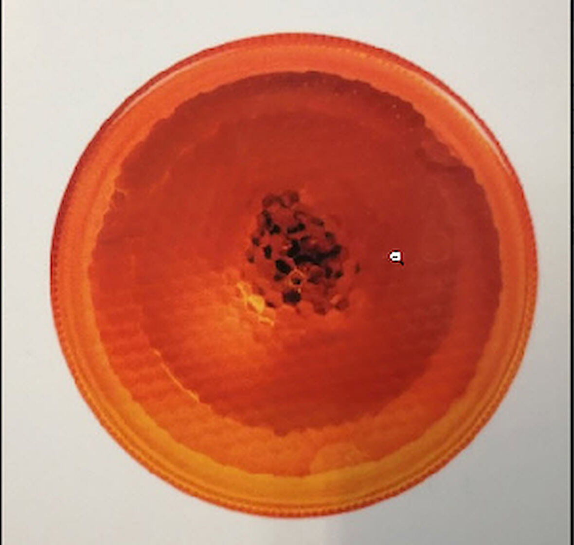 Unıversal Sinyal Lambası-Man Yuvarlak Ym./iveco   02mfs9301-082 - Farplas-500241