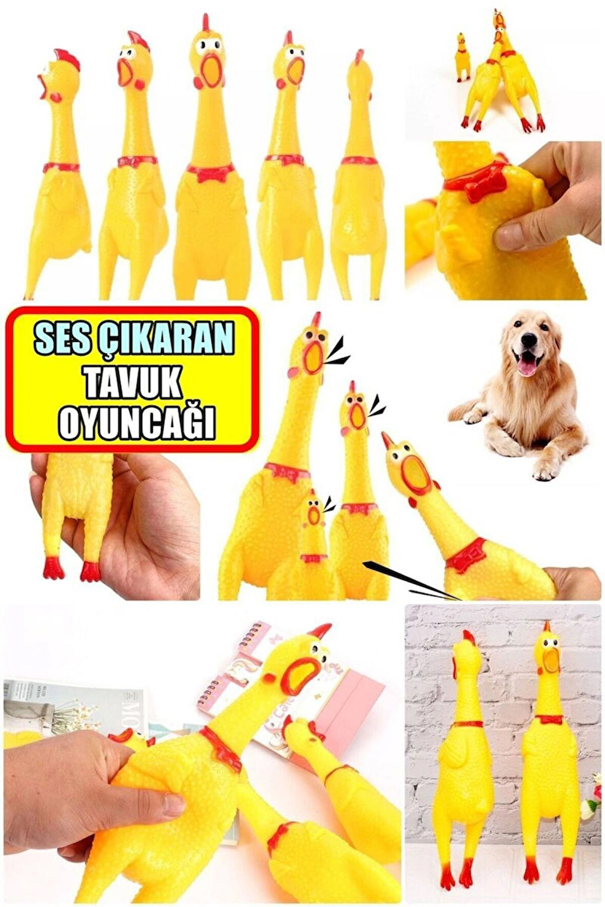 SES ÇIKARAN  TAVUK   KEDİ-KÖPEK OYUNCAĞI