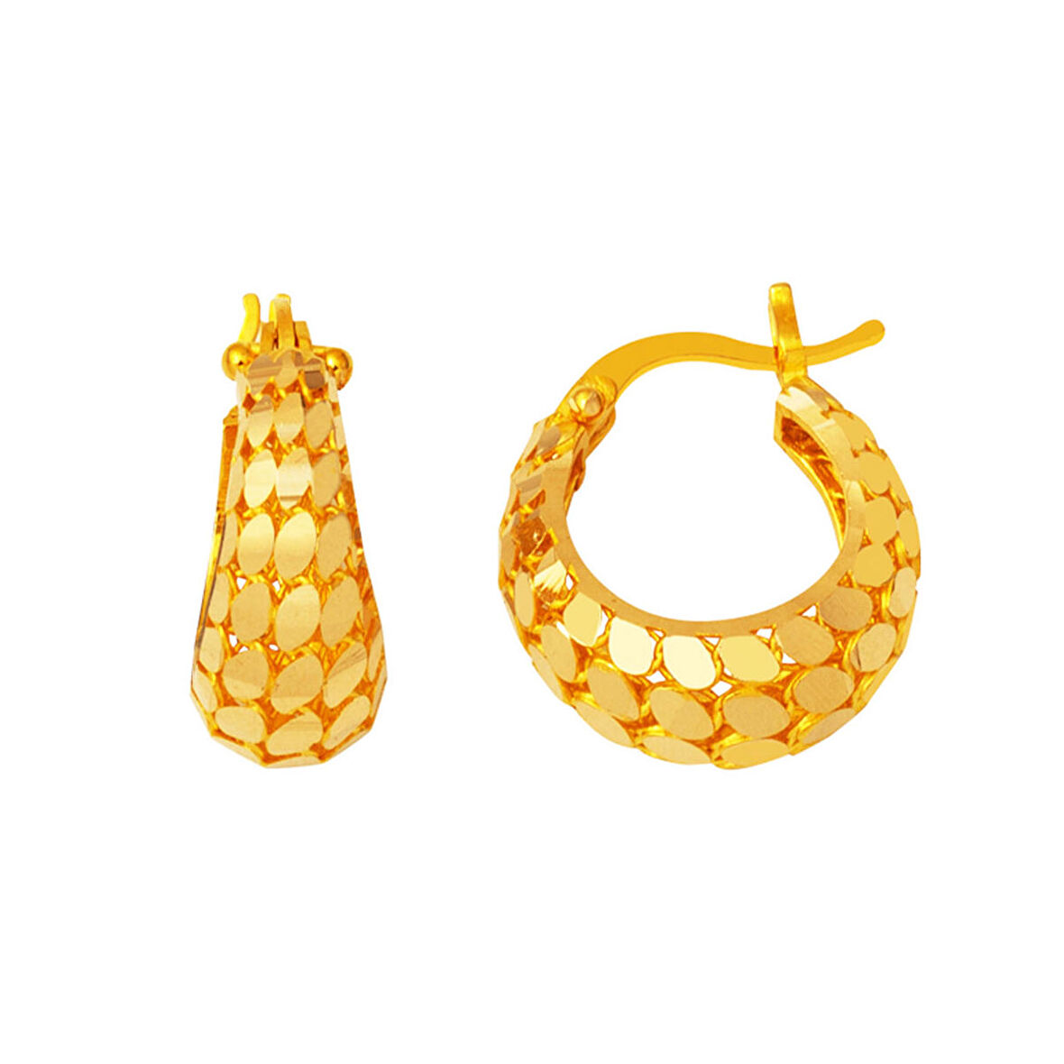 Kalın Pullu Halka 14 Ayar Altın Küpe