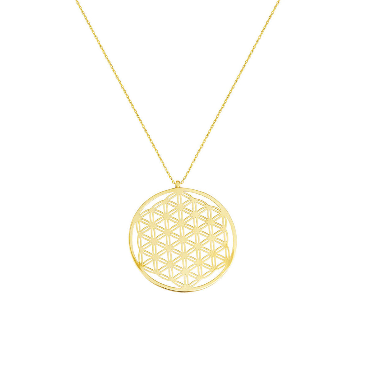 Kazaziye 14 Ayar Altın Kolye