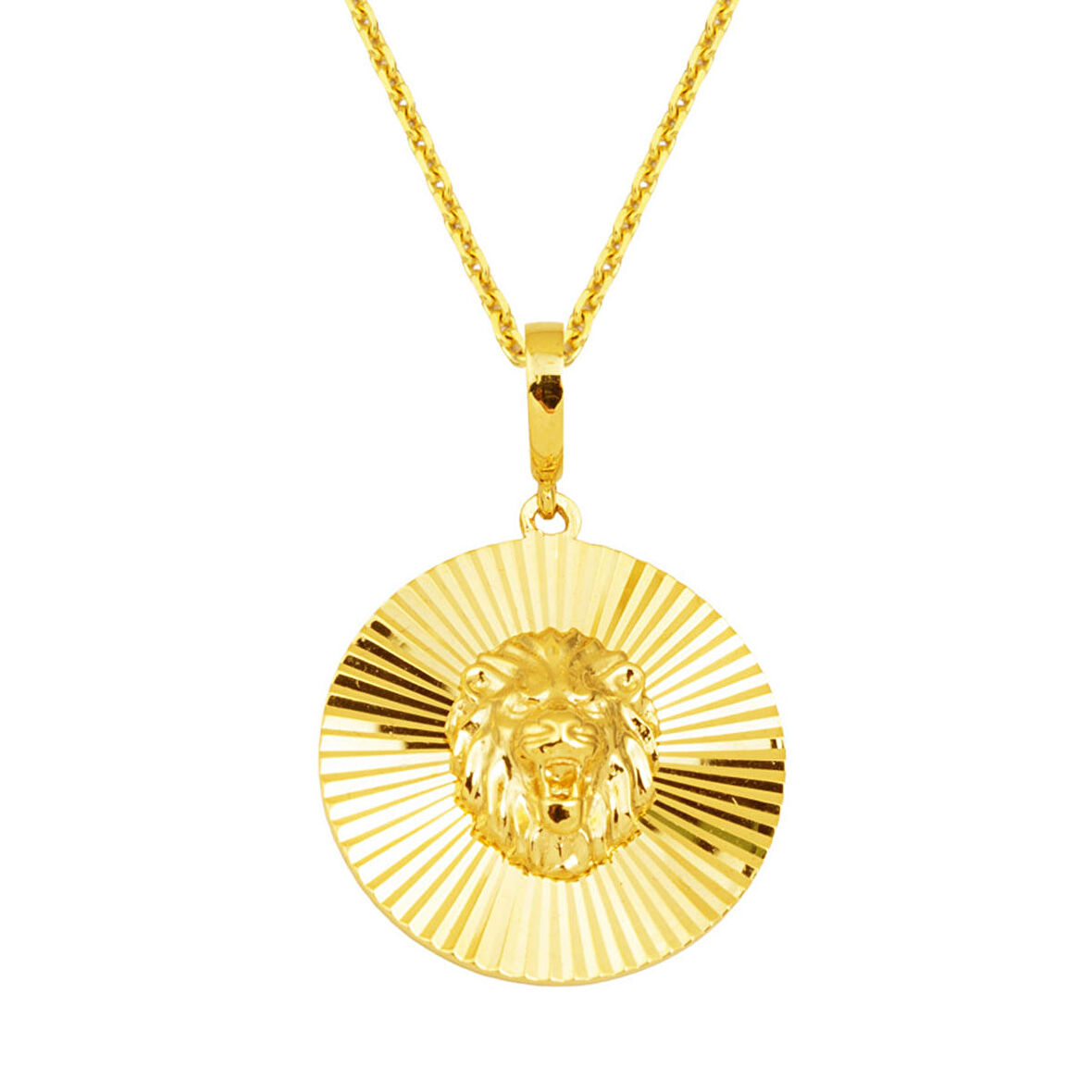 Aslan Başı Madalyon Kolye 14 Ayar Altın