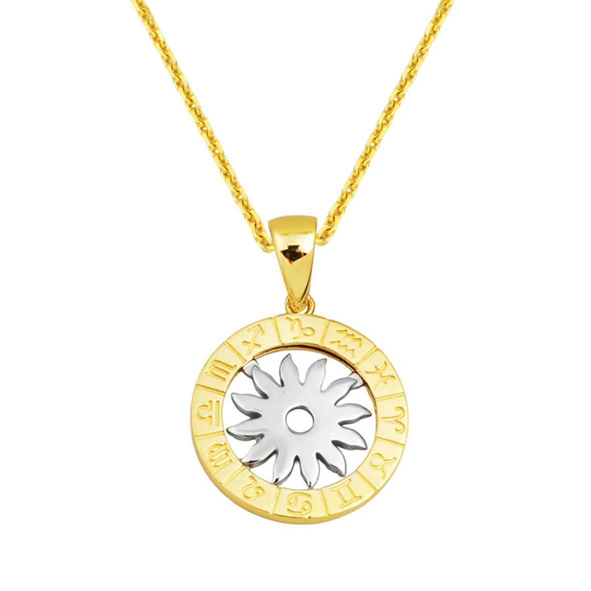 Burç Sembolü 14 Ayar Altın Kolye