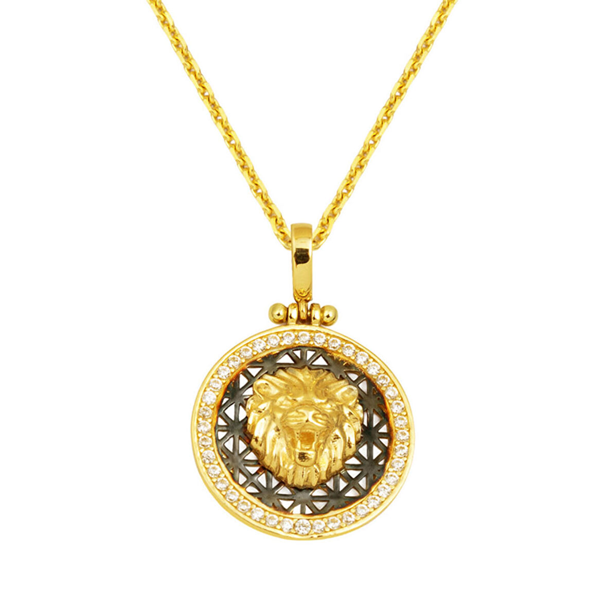 Aslan Tasarım Madalyon Kolye 14 Ayar Altın