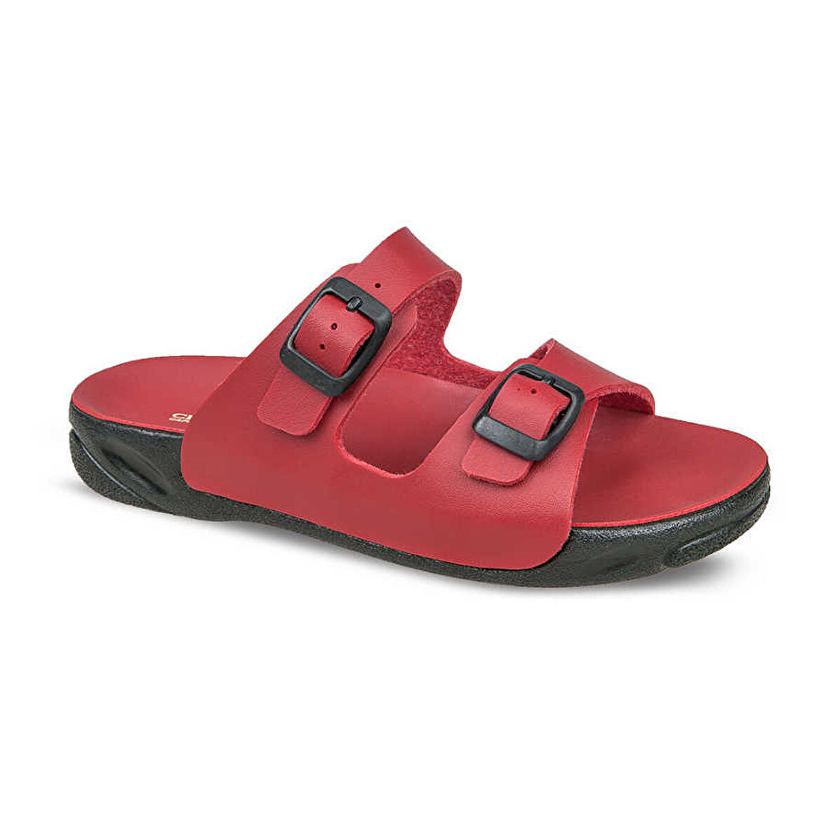 CAPRI-22 (19-34)