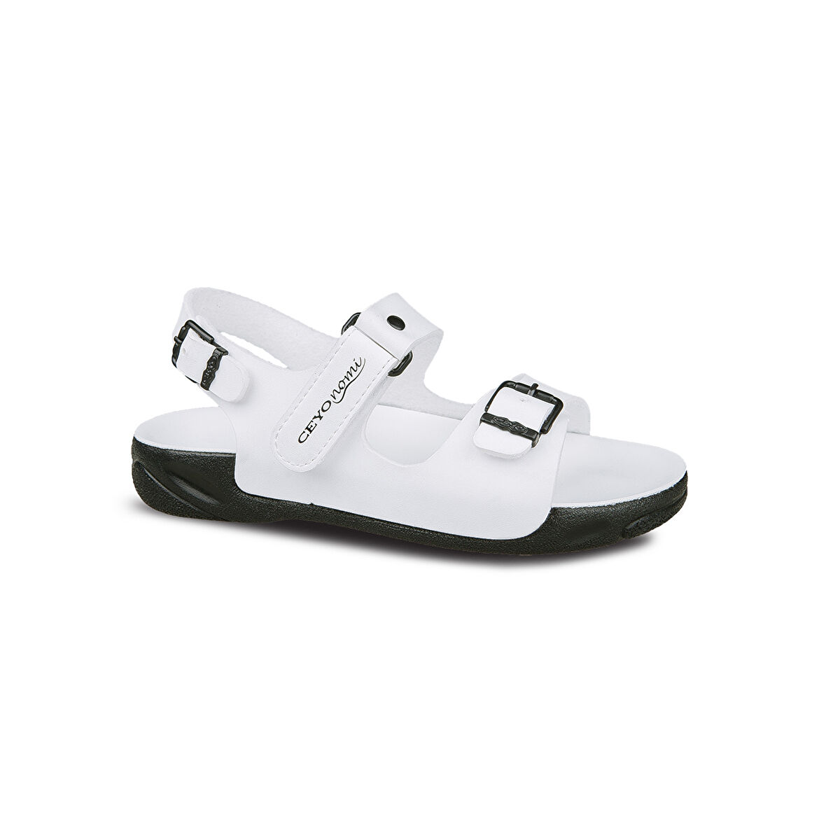CAPRI-26 (19-34)