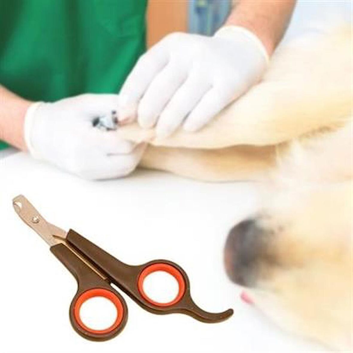 PET Miyav® Küçük Çelik Uçlu Kedi Köpek Evcil Hayvan Tırnak Makası Pati Bakım Aleti Ergonomik Kaymaz 