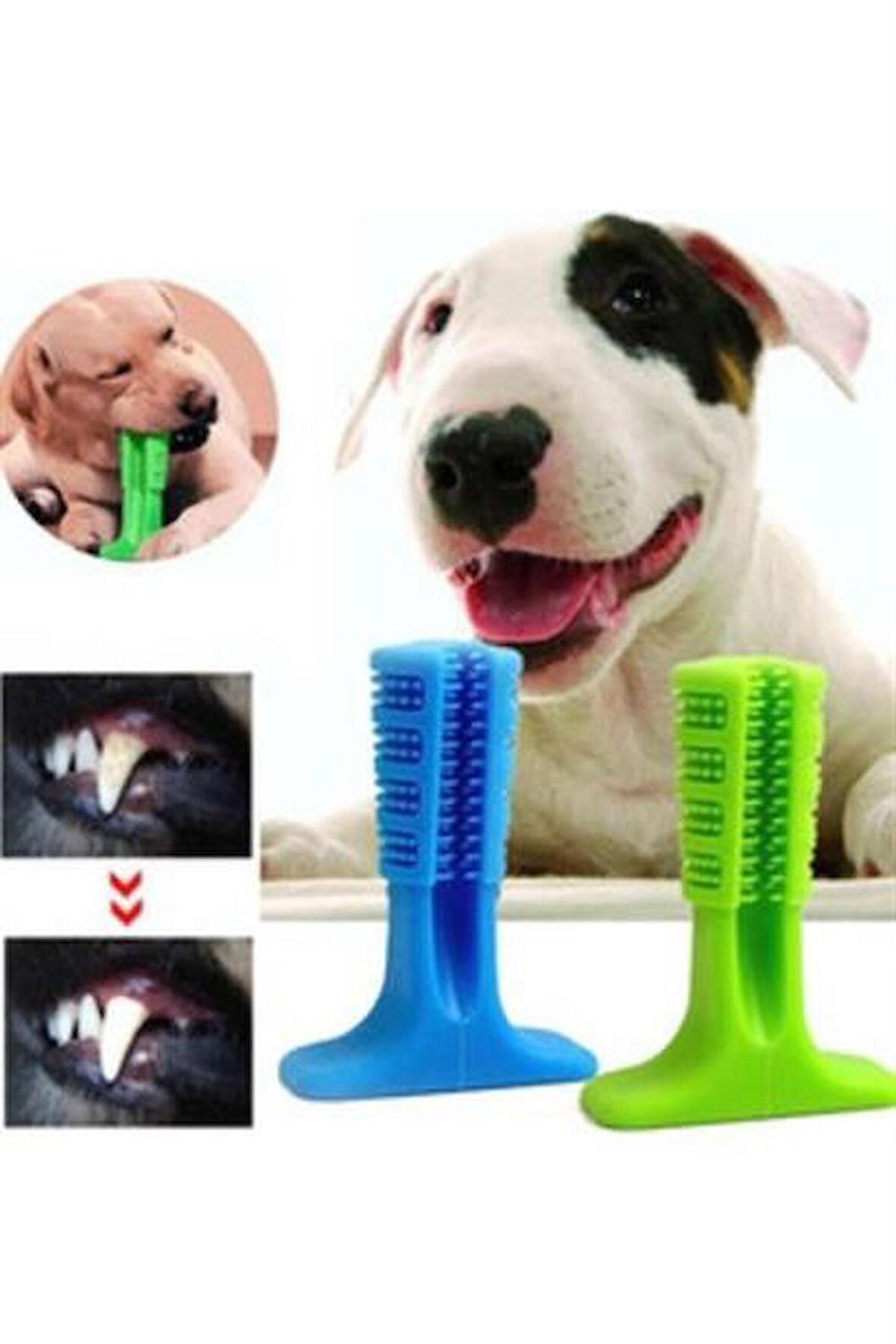 PET Miyav® Köpek Diş Temizleyici ve Kaşıyıcı Sağlıklı Küçük Boy Oyuncak