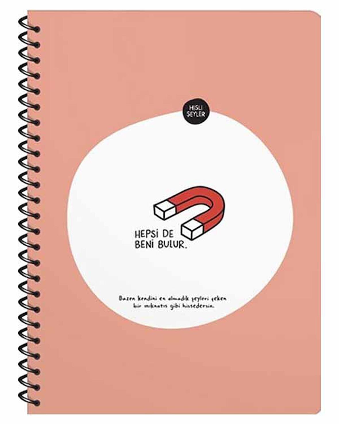 Hisli Şeyler 16,5x22,5 Spiralli Çizgili Defter – Hepsi de Beni Bulur