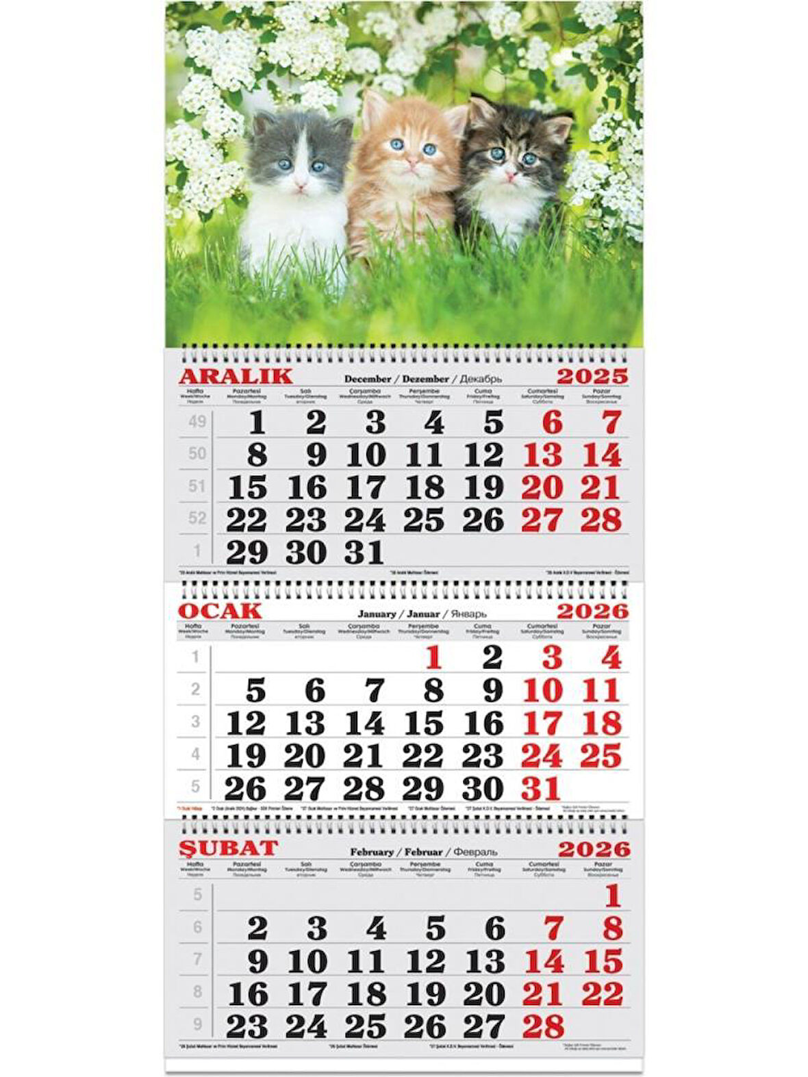 Keskin Color 2026-3 Aylık Spiralli Jumbo Denizci Takvim-Kediler