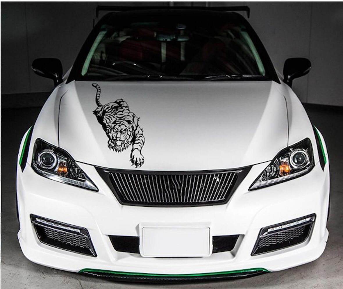 Kaplan Ön Kabut  Sticker Araba Stickerı Yapıştırma