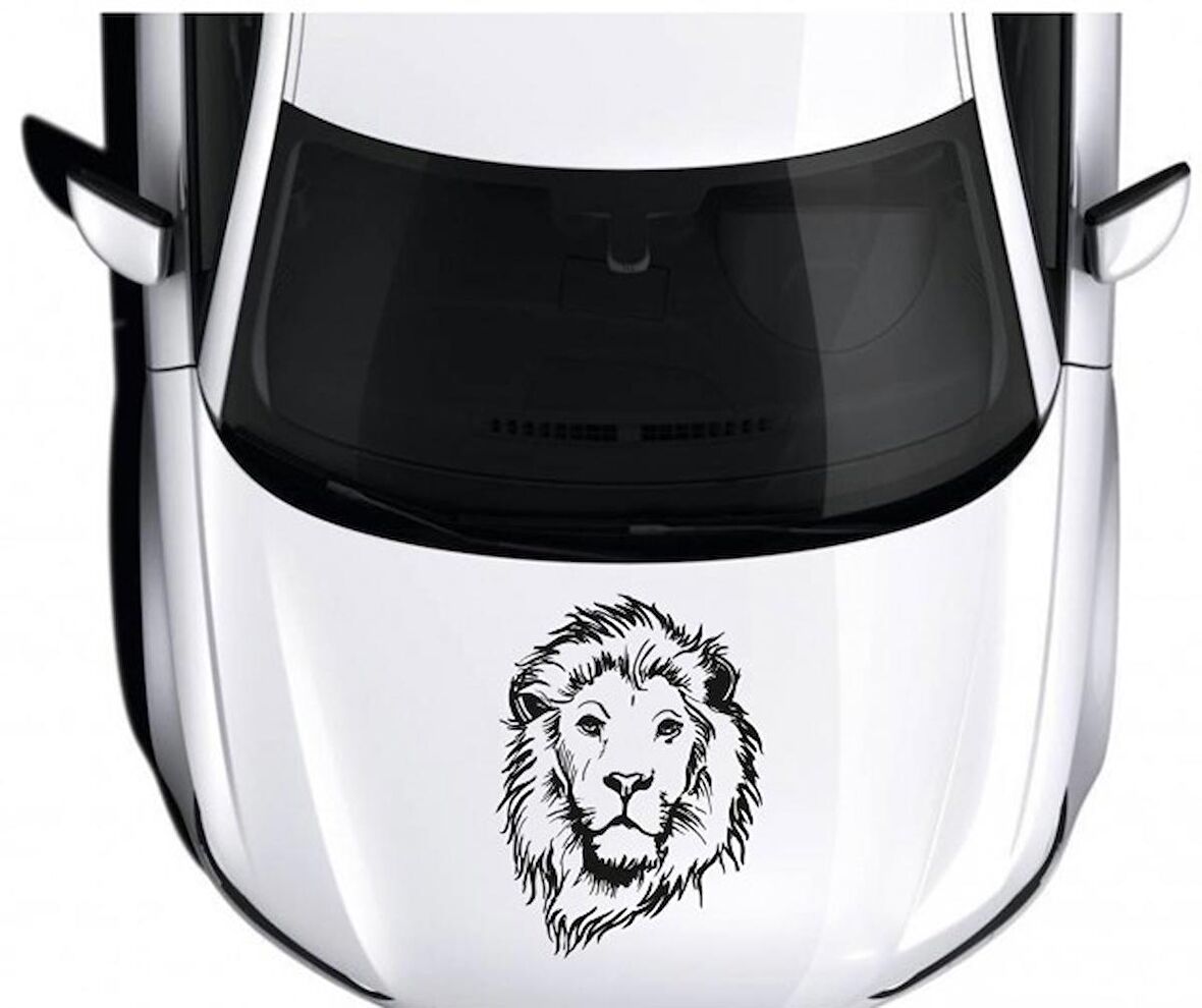 Aslan Ön Kabut Sticker Araba Stickerı Yapıştırma