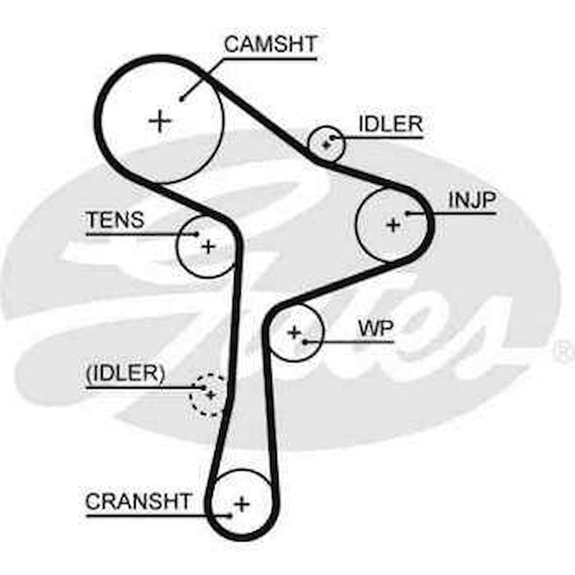 Vw Triger Kayısı - 145  Dis / Ct1168 - Gts 5678xs
