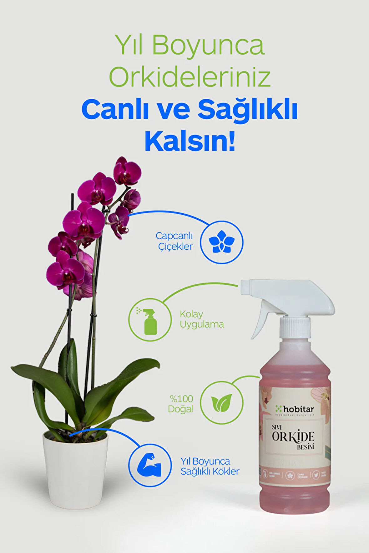 Hobitar Orkide Besini Vitamini 500 ml - %100 Doğal, Çiçeklendirici ve Köklendirici Formül