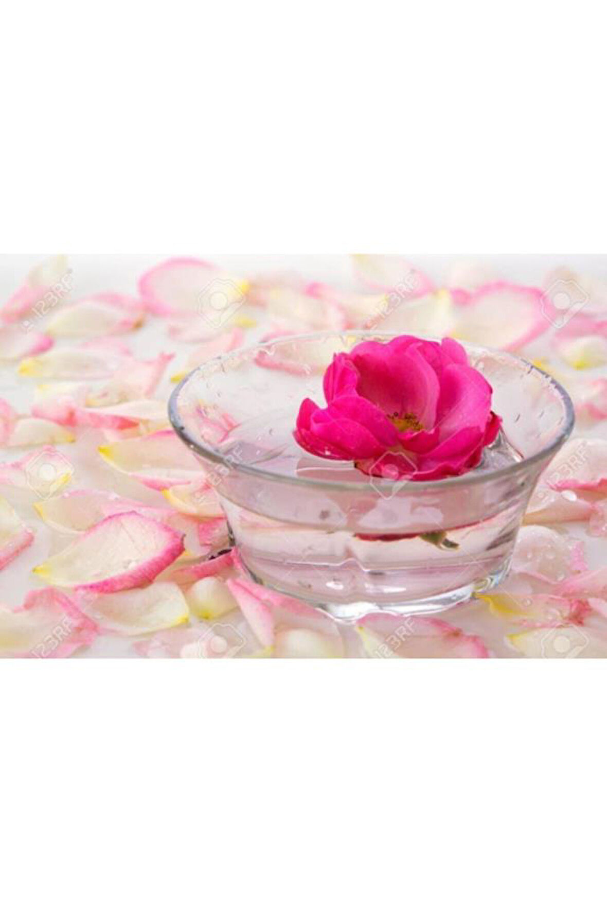 Saf Gül Suyu 1000 ml Organic Rose Water