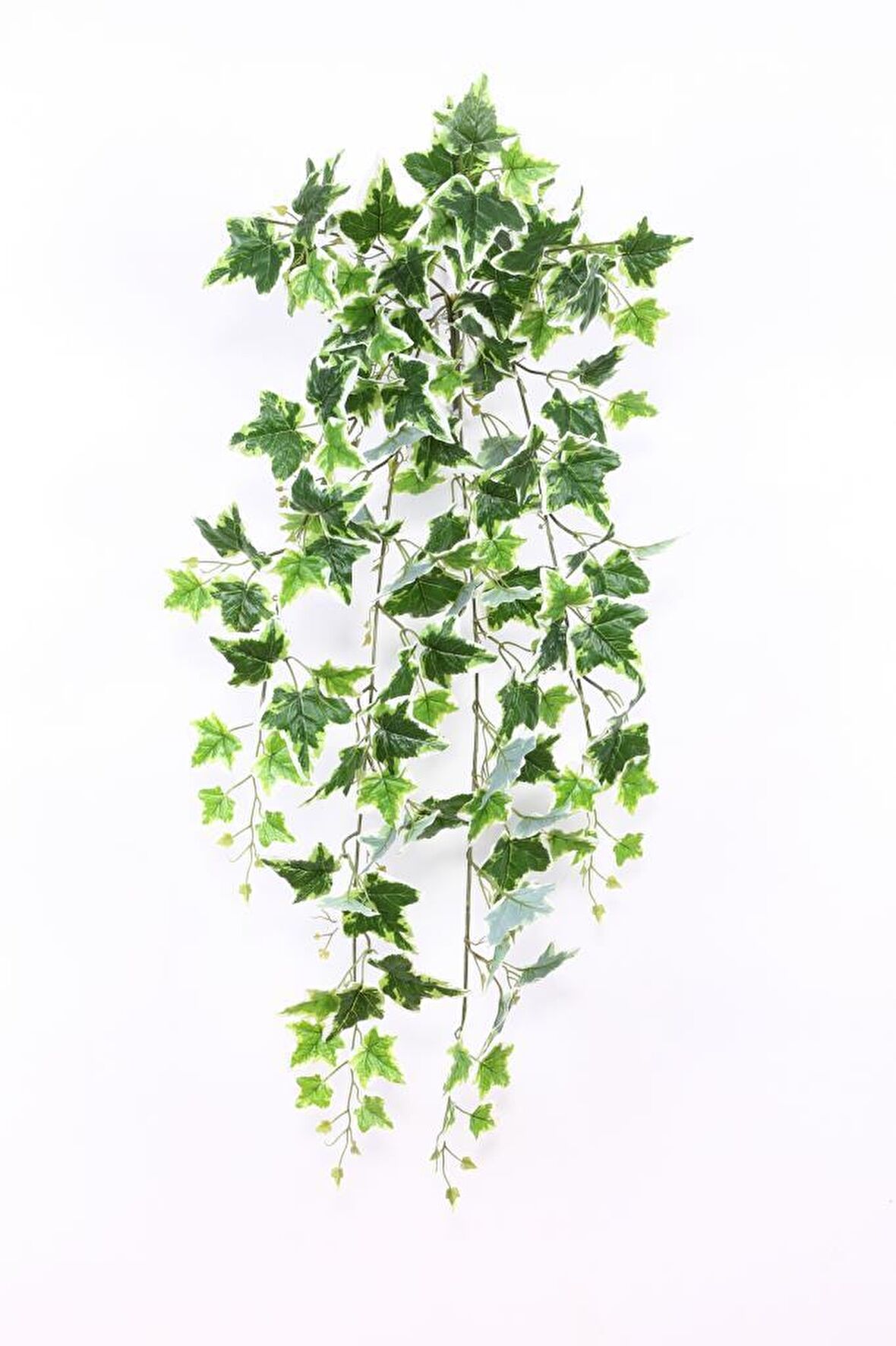 Yapay Sarmaşık Yeşil Beyaz Hedera Gerçek Görünüm Yapay Çiçek 