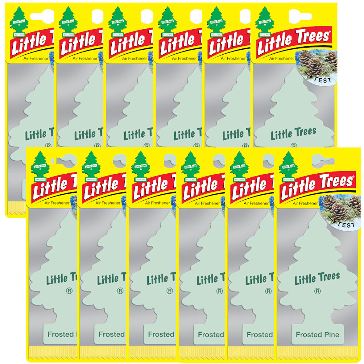Car Freshner Asma Koku 12'li Buzlu Çam