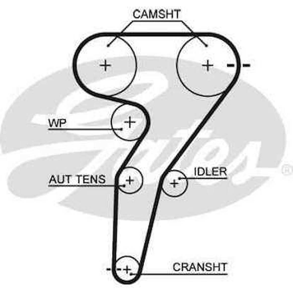 Fiat Eksantrık Kayısı (168x240) Brava Bravo Marea Punto 1,8 16v 95=> Lancıa Alfa Romeo Ct877 - Gates 5429xs