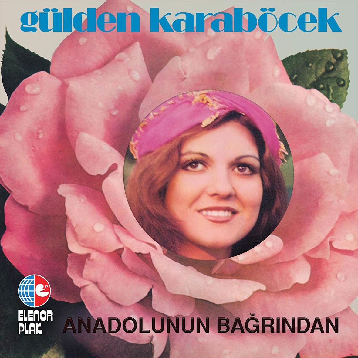 Gülden Karaböcek - Anadolunun Bağrından (Plak)  