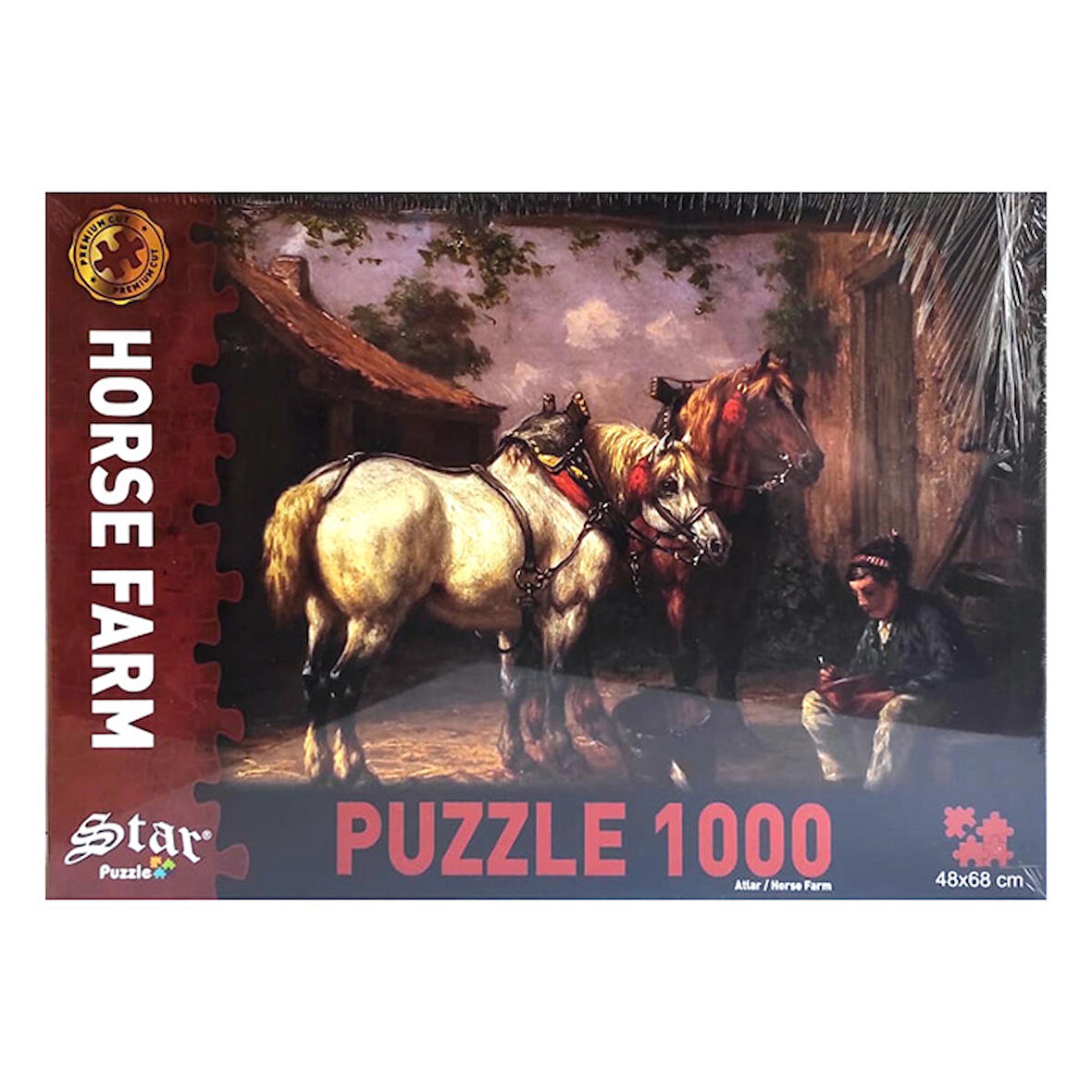 Star Oyun Aletleri Manzara 1000 Parça Yetişkin Puzzle