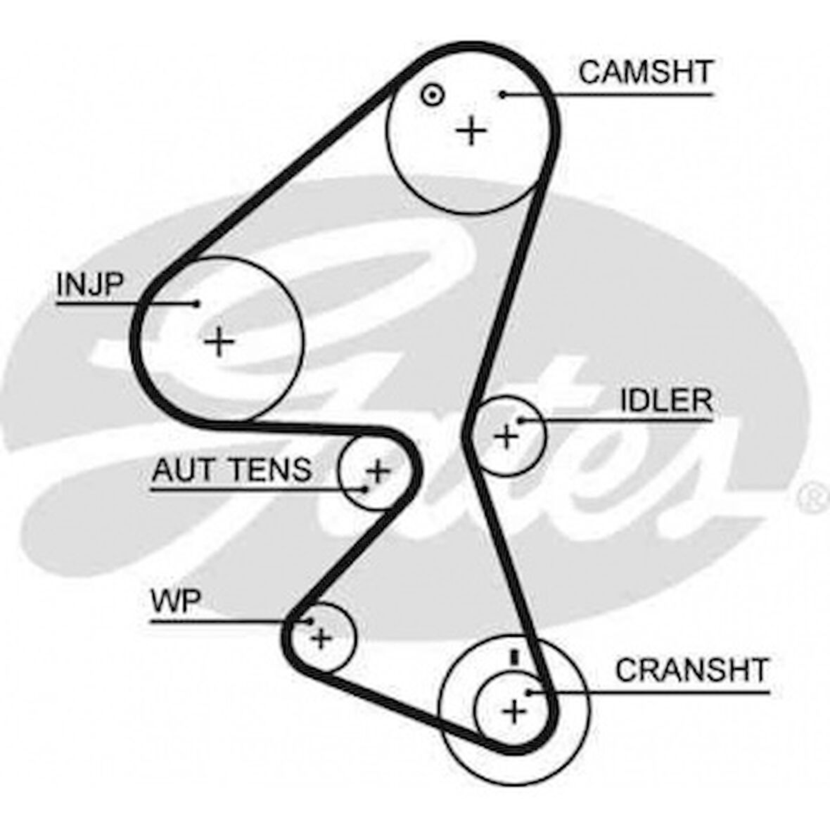 Psa Triger Kayısı (137x254) Peugeot Partner Tepe 206 207 307 308 407 1.6hdi Ber C2 C3 C4 C5 Jumpy Ct1092 - Gates 5598xs