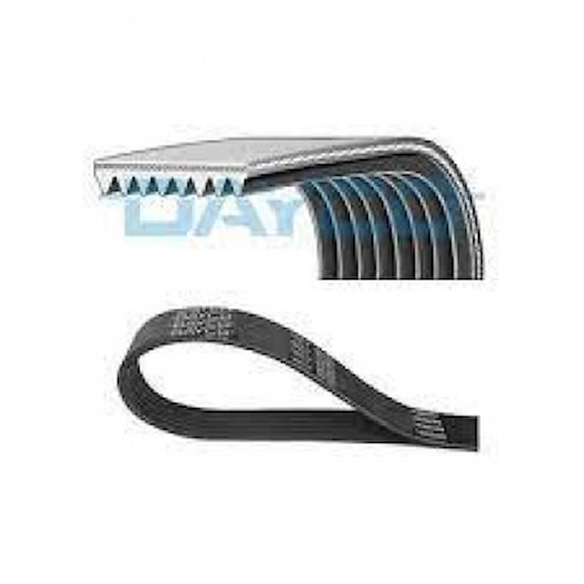 Daf Truck Kanallı Kayıs Daf Cf-Xf 410 440 460 - Dayco 8pk1895hd