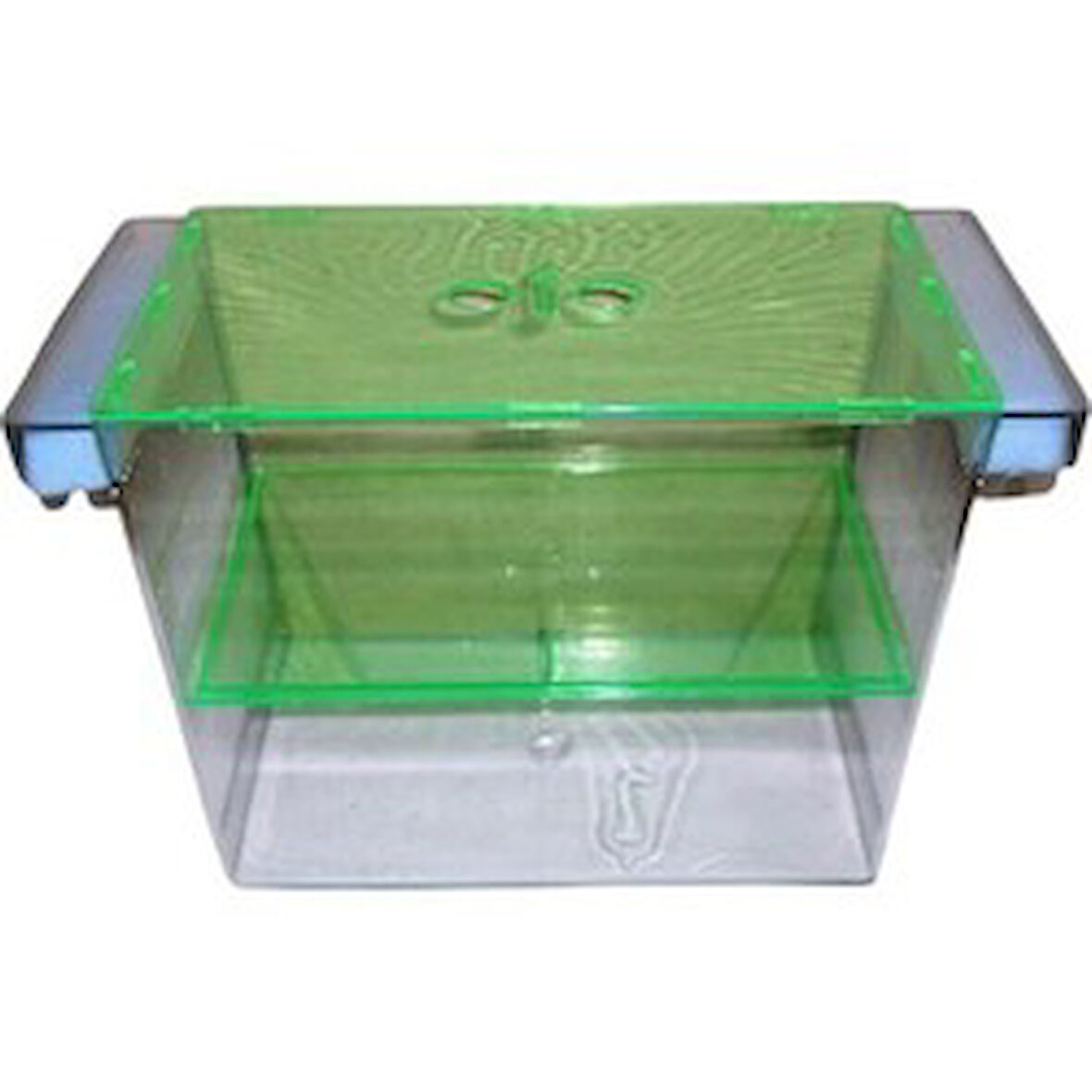 Dev Cichled İkili Balık Yavruluk