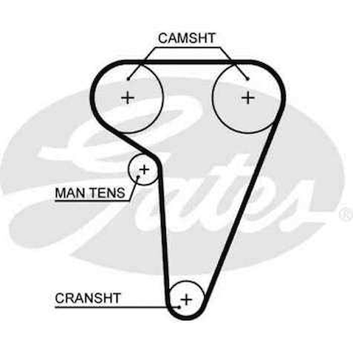 Alfa Romeo Triger Kayısı (127x254) Alfa Romeo 166 2.0t 12v (08 / 98 10 / 03) - Gates 5549xs