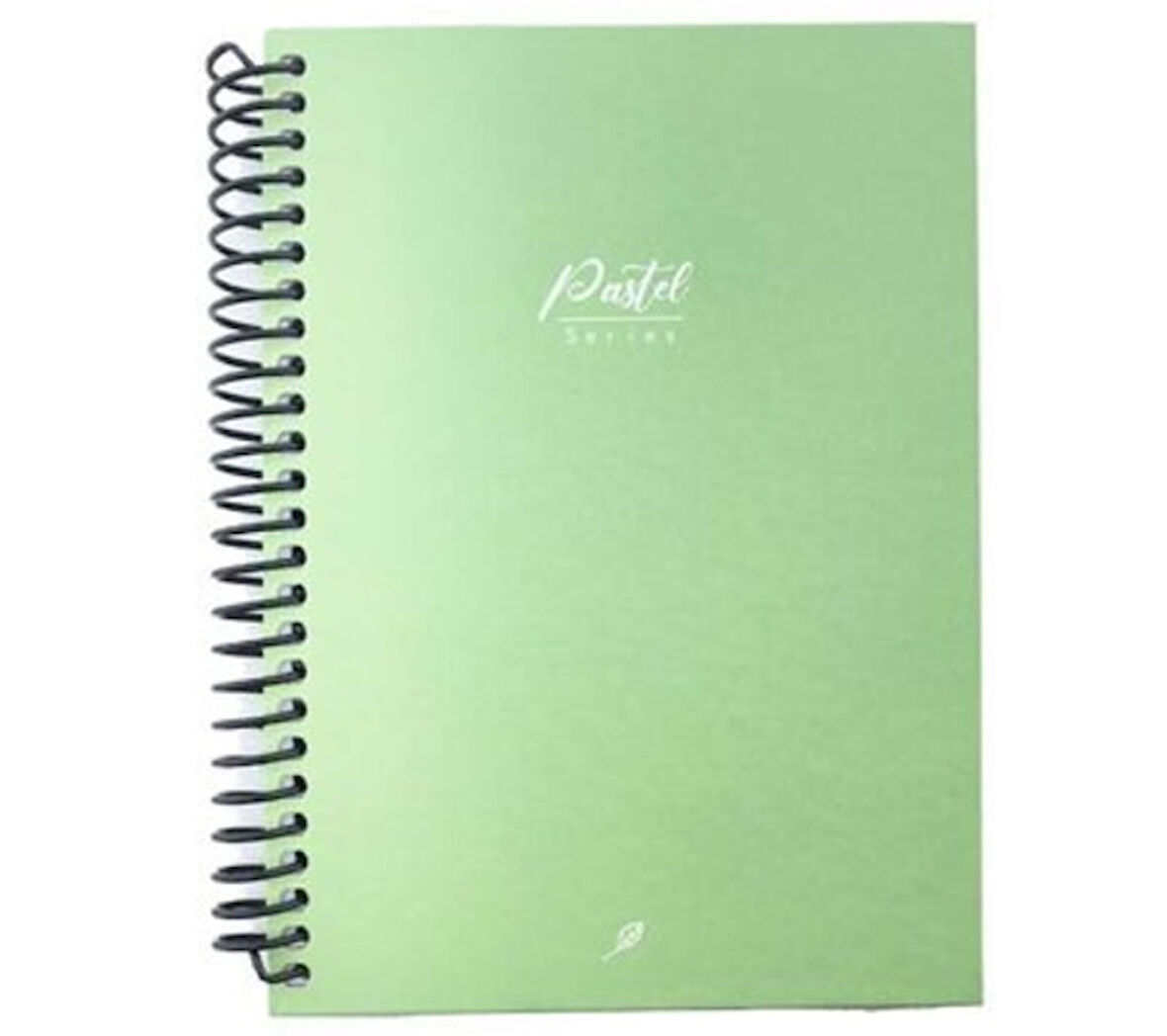 Dilman Pastel Color Spiralli Defter Çizgili 120 Yaprak 16X22 Farklı Renk - 2 adet