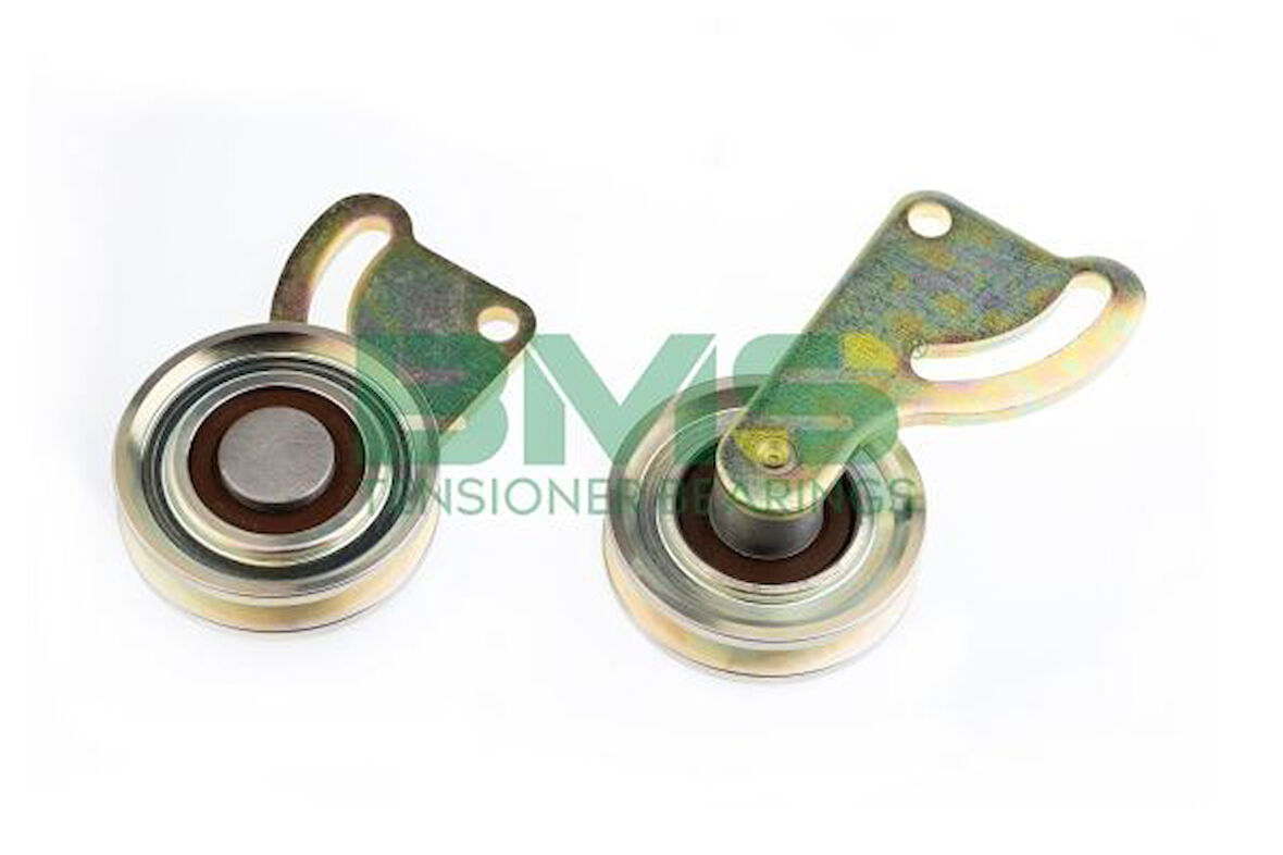 Renault Eski Alternator Gergi Rulmanı R19 - Bms 024