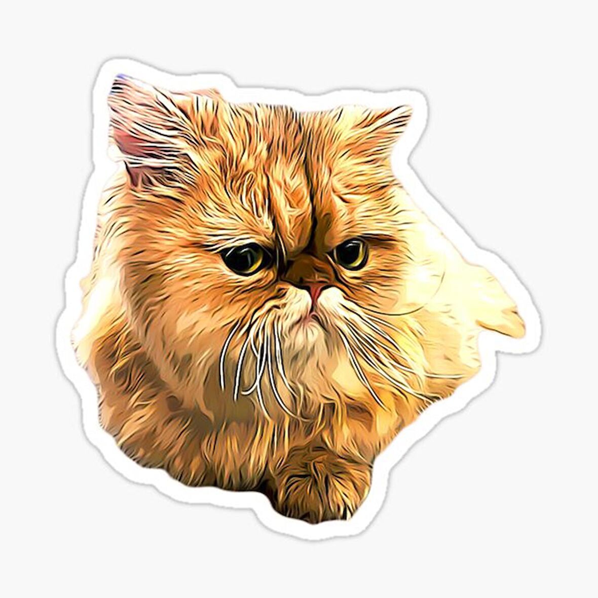 Cins Kedi İran Kedisi Araba Oto Sticker Etiket Renkli Z1