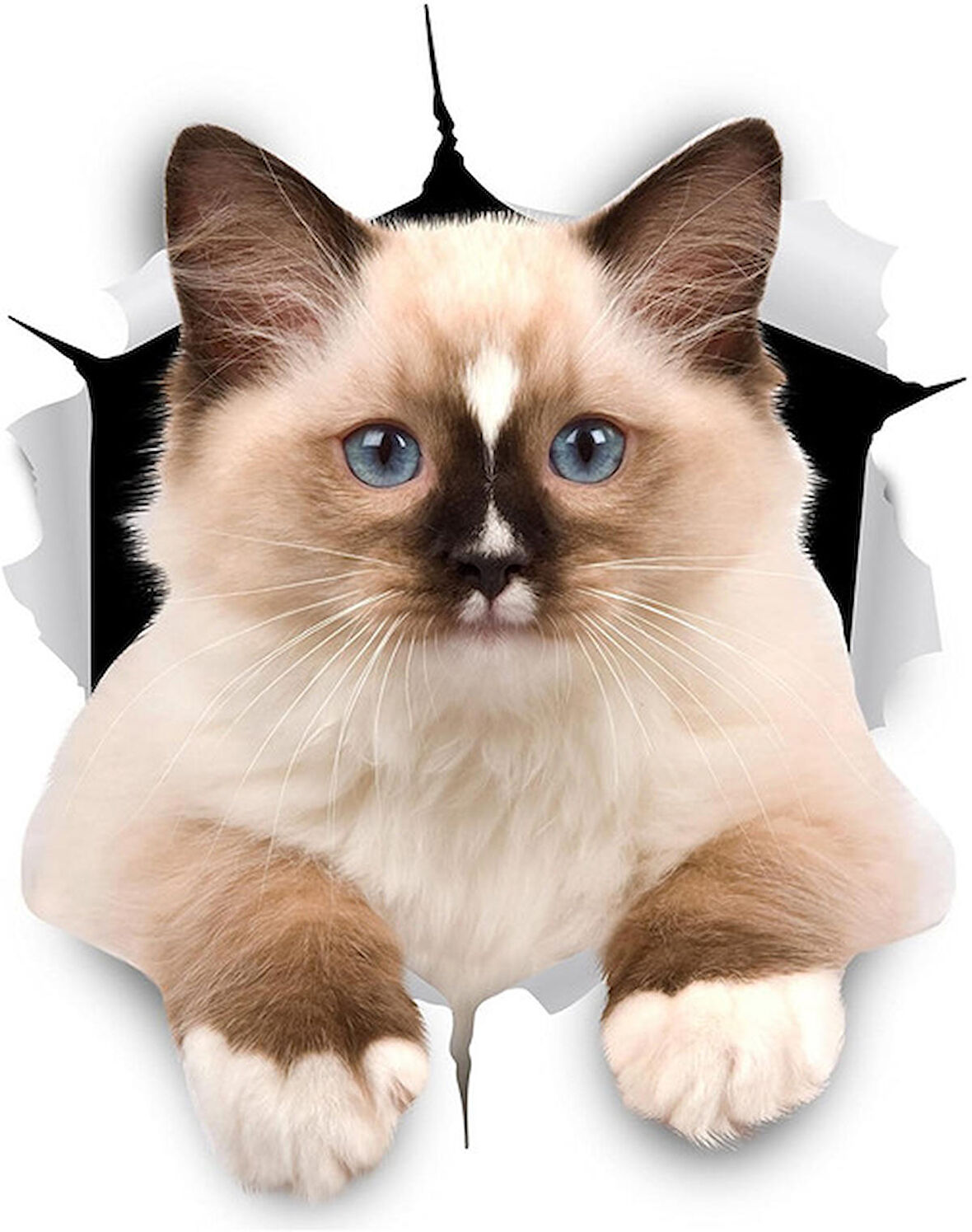 Kırık Cam Efekti Kedi Araba Oto Sticker Etiket z8