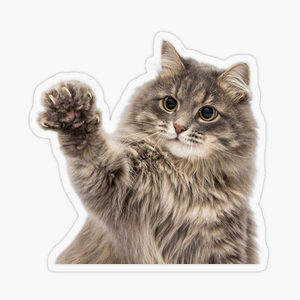 Kırık Cam Efekti Kedi Araba Oto Sticker Etiket z9