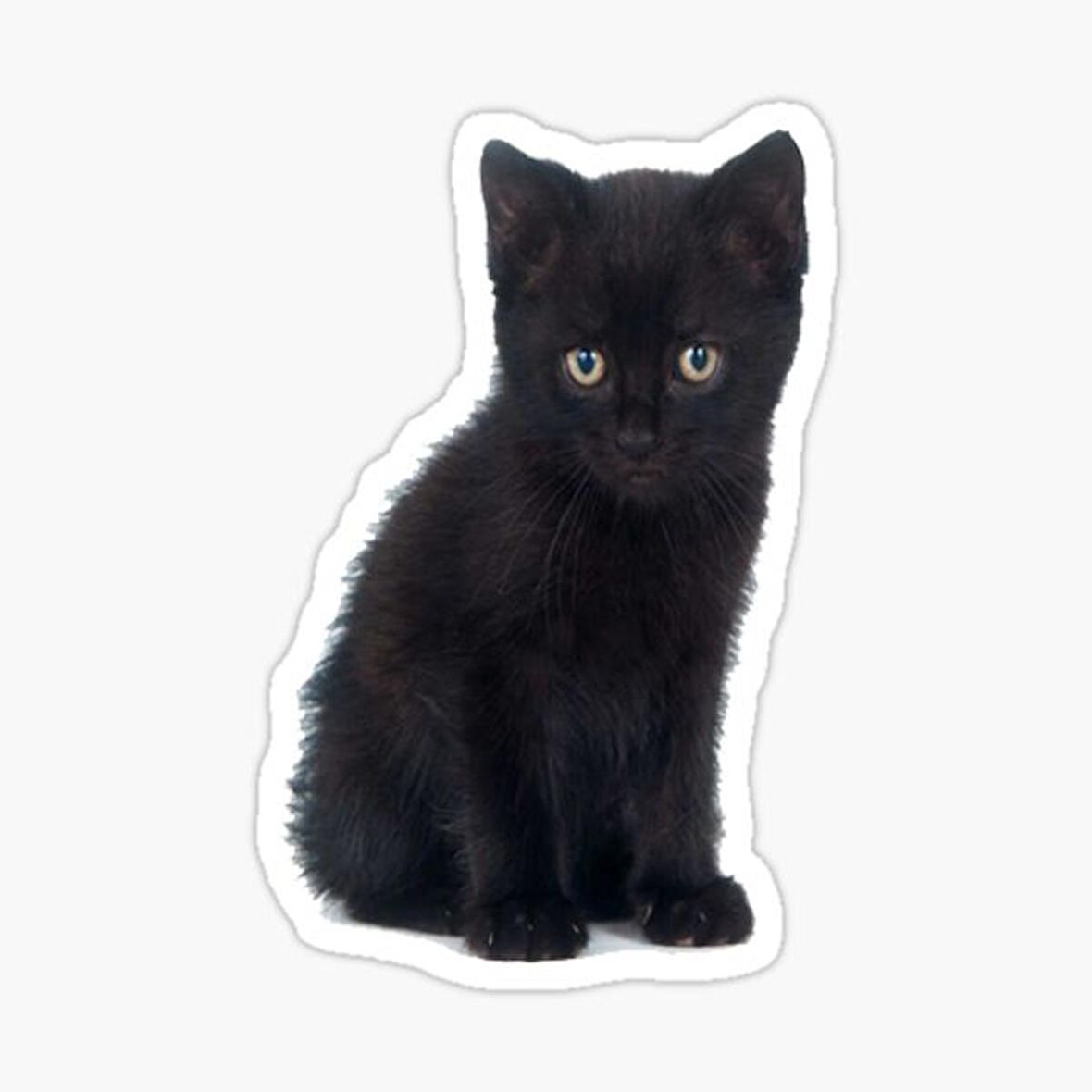 Oto UFak Bebek Kedi Araba Sticker Etiket Renkli V6