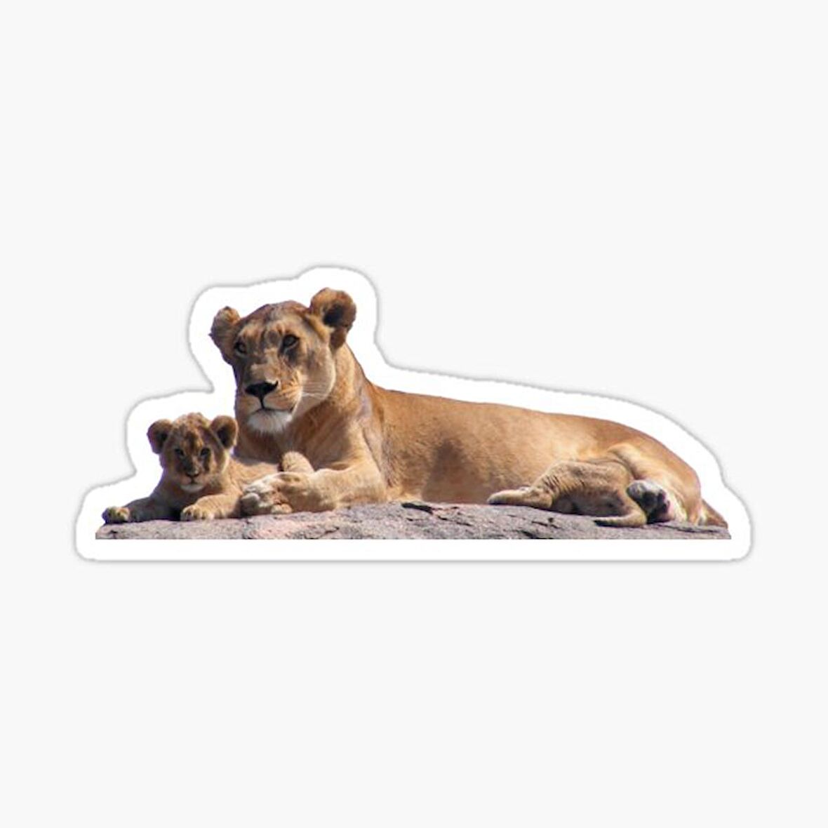 UFak Bebek Aslan Araba Oto Sticker Etiket Renkli W3