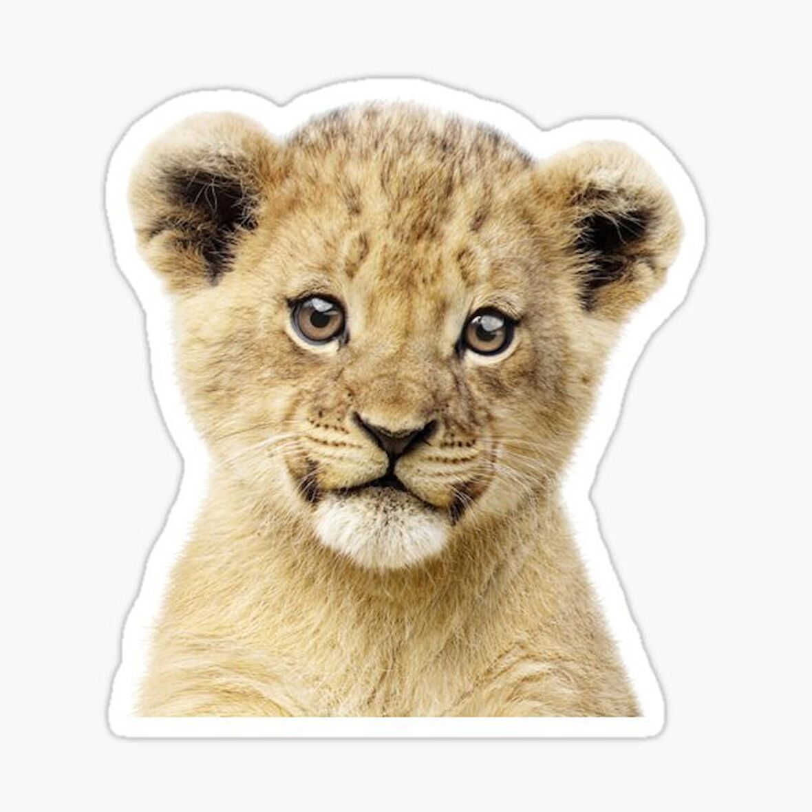 UFak Bebek Aslan Araba Oto Sticker Etiket Renkli Z5