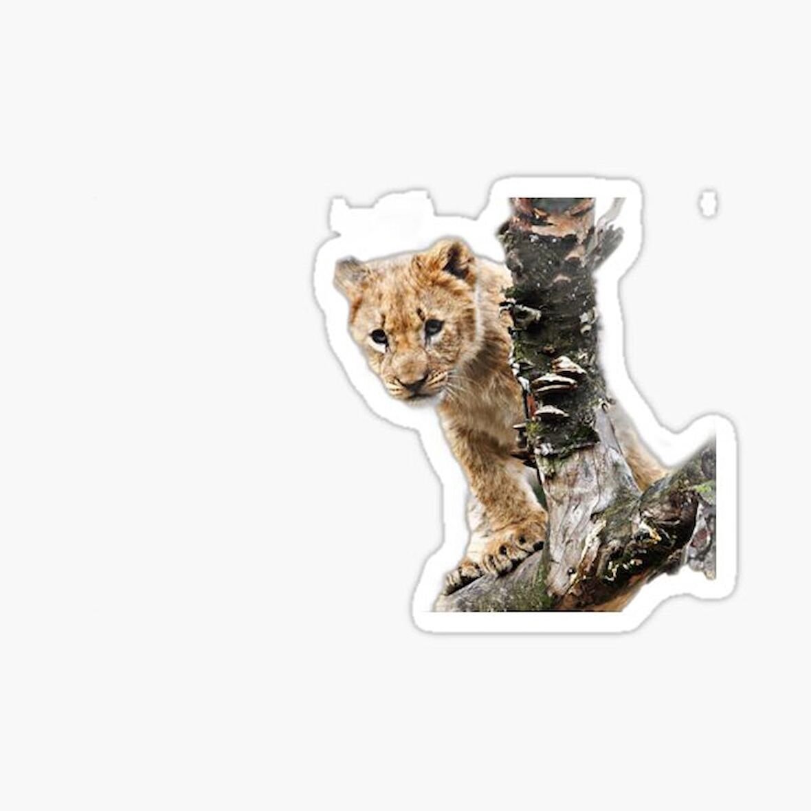 UFak Bebek Aslan Araba Oto Sticker Etiket Renkli Z6