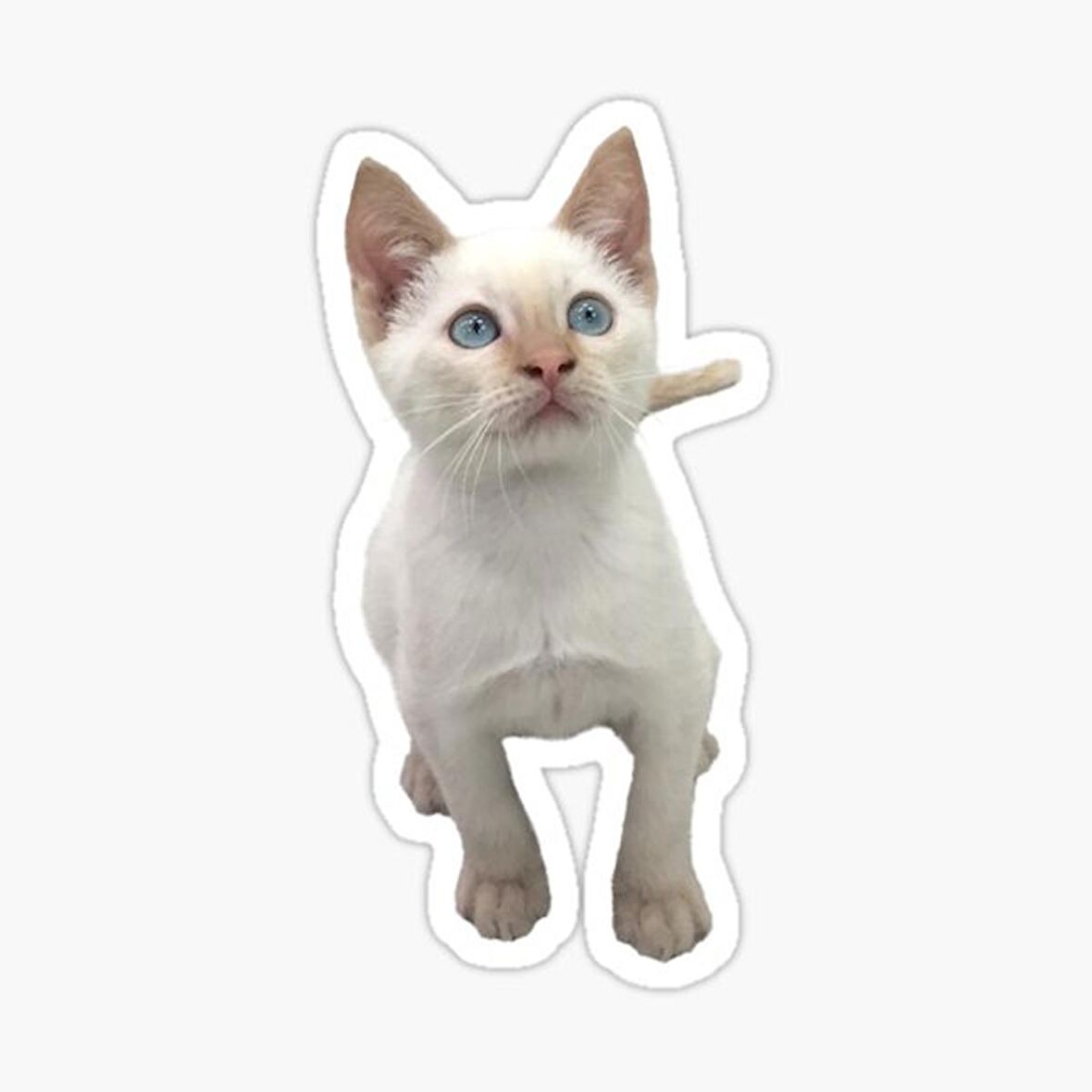 UFak Bebek Kedi Araba Oto Sticker Etiket Renkli C1
